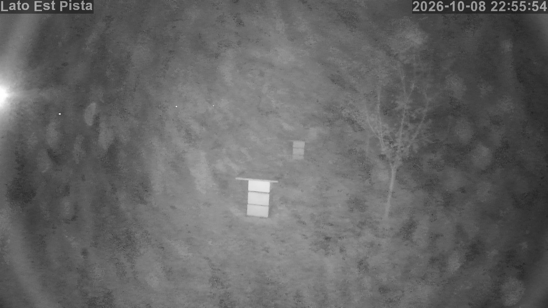 Webcam 2